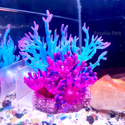 High Transparent Acrylic Aquarium Suspended Support Adjustable Support For Fish Tank Decoration Water Pump Suspended Accessories