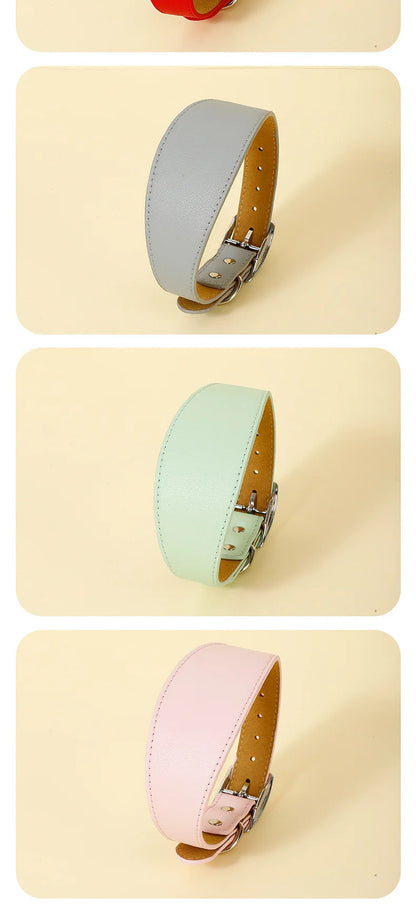 Wide Leather Dog Collar for Small Medium Large Dogs Greyhound Deerhound Lurcher Whippet Dachshund Pet Accessories