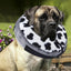 Inflatable Dog Collar Soft Cones For Dogs Adjustable Inflatable Collar For Dogs And Cats Soft Pet Operation Recovery Collar Does