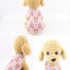 2023 New Classic Stripe Shirt Dog Clothes For Small Dogs Summer Chihuahua Tshirt Cute Puppy Vest Yorkshire Terrier Pet Clothes