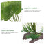 Plant For Fish Tank Lasting Widely-used Decorative Aquarium Grass Freshwater Aquarium Plant Betta Fish Tank Plants Landscaping
