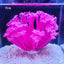Artificial Coral Aquarium Fish Tank Simulation Soft Coral Decoration Aquarium Landscape Water Grass Ornament Aquarius Plants New