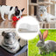 50pcs Dog Pee Pads Leak-Proof Potty Training Pads Cats Dog Diapers Waterproof Quick-Dry Pet Potty Training Pads For Doggies Cats