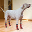 Anti-Slip Dog Socks Adjustable Pet Non-Slip Paw Protection with Paw Pattern for Puppy Dog Indoor Traction Control Wear on Floor