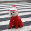 Small Dog Raincoat Hooded Pet Rain Wear Waterproof Teddy Poncho with Rain Boots Adjustable Puppy Dog Full Body Coverage with Hat