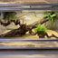 Climbing Pet Climbing Wooden Landscape Tree Vine Natural Dead Wood Crawler Rainforest Tank Tree Frog Crossing River Dragon Vine