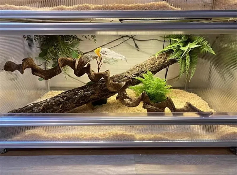 Climbing Pet Climbing Wooden Landscape Tree Vine Natural Dead Wood Crawler Rainforest Tank Tree Frog Crossing River Dragon Vine
