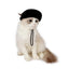 Dog Sun Hat Dog Baseball Caps For Sun Protection Adjustable Dog Beach Hat Summer Puppy Hat For Small Medium Large Dogs Kitten
