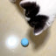 Cat Interactive Ball Smart Pet Cat Toys Indoor Automatic Rolling Magic Ball Electronic Interactive Cat Toy Cat Game Accessories
