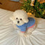 Puppy Warm Hoodies Fleece Dog Jacket Pet Letter Winter Dog Clothes Chihuahua Poodle Bichon Accessories Cat Coat Dog Pullover