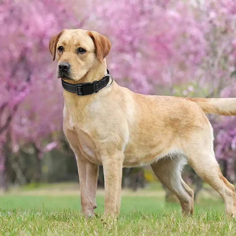 Reflective Dog Collar Adjustable Cat Collar Safety Nylon Pet Collar Durable Comfortable Reflective Pet Collar Pet Supplies