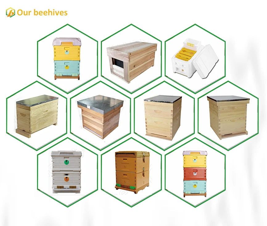 Benefitbee PP material beekeeping bee hives Langstroth plastic double layers beehive
