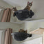 Cat Hammock Wall Mounted Foldable Cat Beds Breathable Cat Wall Shelves for Sleep Overlook Sunbathing Stable Cat Wall Perch