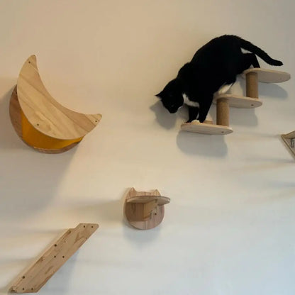 1 Piece Wall Mounted Cat Hammock and Jumping Platform with Ladder Stairway Wooden Cat Furniture for Kitten Sleeping and Playing