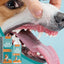 Dog Breath Water Additive 100ml Dog Teeth Cleaner Wash Effective Dog Teeth Cleaner Wash Natural Teeth Cleaning Freshener For