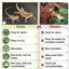 Reptile Carpet Terrarium Liner Bedding Reptile Substrate Mat Safe And Comfortable Reptile Cage Mat For Snake Gecko Lizard