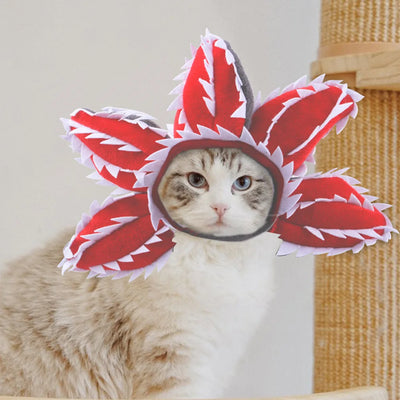New Creative  Funny Pet Headgear Cosplay Cannibal Flower Hat Pet Dog Cat Halloween Costume Dog Costumes for Small Dogs