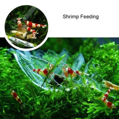 HighTransparent Acrylic Aquarium Fish Tank Shrimp Food Feeding Circle Feeder Floating Bottom Feeder Fish Shrimp With Suction Cup