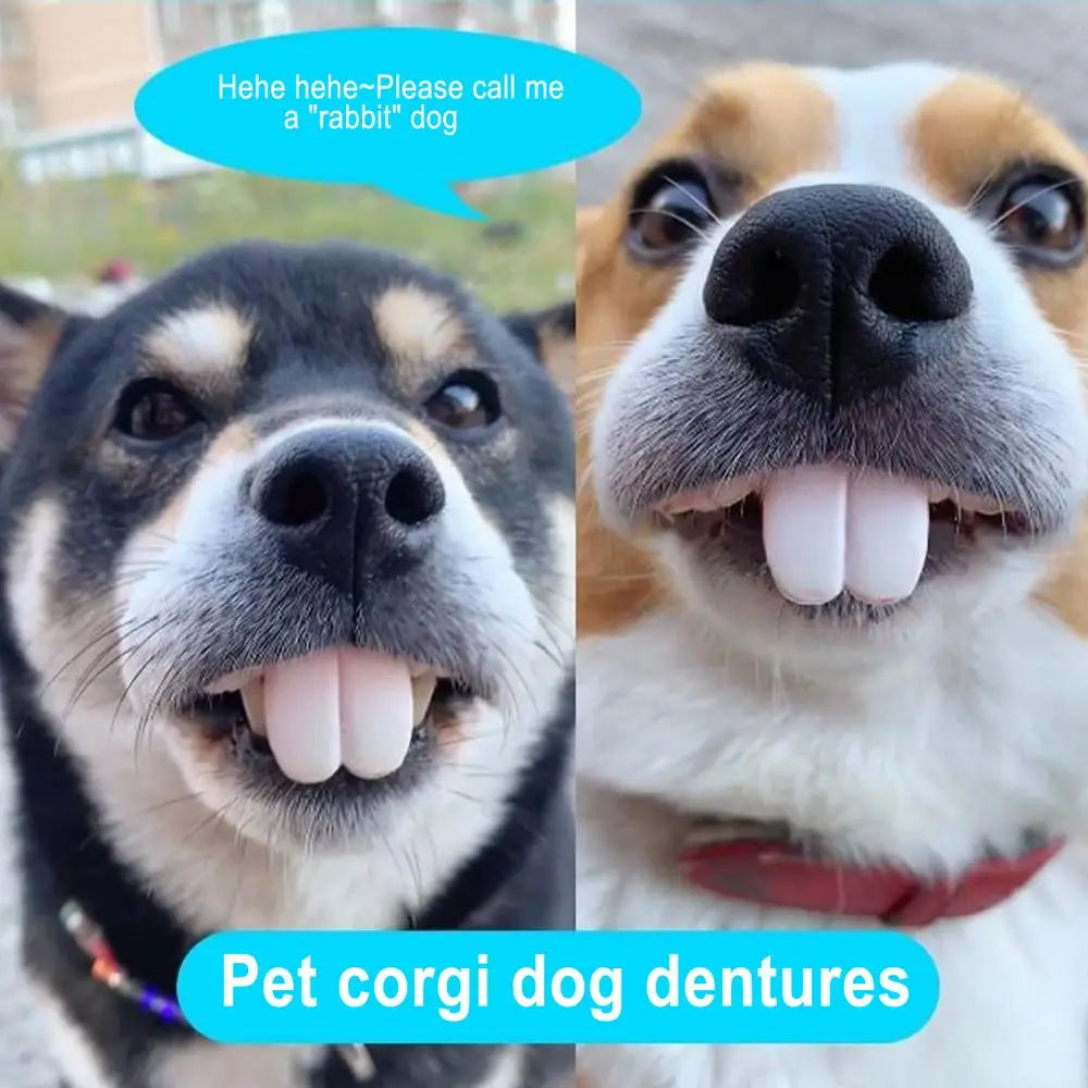 Pet CorgiDog False Teeth Toy Rabbit Front BuckTeeth Cover Funny Puppy Dentures Pet Decorating Cosplay Halloween Costume