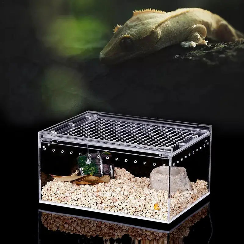 Reptile Pet Breeding Box Transparent Animal Habitat Cage With Breathable Holes Water Leakproof Box For Spider Snake Lizard