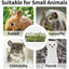 Rabbit Food Basket Grass Rack Rabbit Grass Frame Hay Feeder Rabbit Spring Grass Frame Grass Hay Bowl Rack Pet Food Container