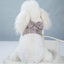 2023New Dog Harness Elegant Comfortable Breathable Pet Dress Collar For Small Dogs Fashion Lovers Vest Dog Harness and Leash Set