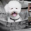 Pet Car Seat for Large Medium Dogs Washable Dog Booster Pet Car Seat Detachable Dog Bed for Car Back Seat Pet Travel Carrier Bed