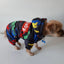 Pet Dog Clothes Winter Warm Dog Windproof Coat Thicken Pet Clothing For Dogs Cats Costume Jumpsuit Hoodies Jacket Pet Supplies