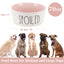 UXCELL 70Oz 200g Ceramic Dog Bowl Large Dog Water Bowl Non-Slip Dog Food Bowls Resistant Pet Bowl Dog Feeders Easy to Clean
