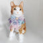 Adjustable Cat Accessories Collar Breakaway Kitten Collar with Pearl Bow Tie and Snowflake Pattern Pet Bandana for Cats Puppy