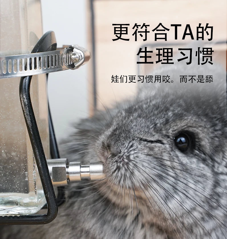 Silent Fine Needle Stainless Steel Striking Needle Water Bottle, Dragon Cat Beige Long Hair  Feed Water, Drinking Bottle