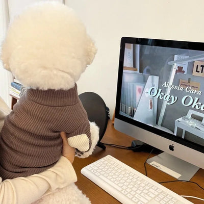 Fashion Pet Dog Bottoming Shirt Puppy Solid Color Clothes Winter Teddy Warm Two Legged Clothing Pet Poodle Pullover Dog Jackets