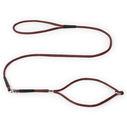 Superior Thin Nylon Slip Lead Dog Leash 5mm*120cm No Pull Pet Slip Leash for Puppy Training Adjustable Slip Collar for Small Dog