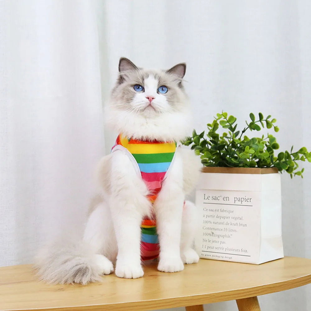 Cat Recovery Suit for Post Surgery Protection Anti-Licking Wound Kitten's Shirt Professional Cat Recovery Suit for After Spaying