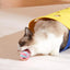Cat Jingle Balls Cat Pounce Jinggle Ball Large Hollow Cat Rattle Ball Interactive Kitten Chasing Toys Kitten Pets Supplies