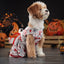 Halloween Dog Costume Funny Dog Clothes Terror Spider Skull  Pet Dog Dress Puppy Jumpsuit Chihuahua Bichon Dachshund Dog Outfits