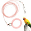 Detachable Bird Foot Chain Outdoor Parrot Pet Flying Rope Biting-Resistant Bird Training Toy With Ankle Foot Ring For Terrace