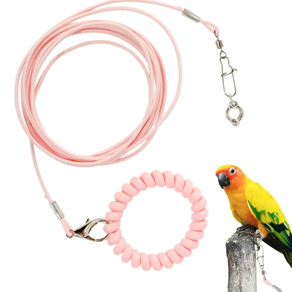 Detachable Bird Foot Chain Outdoor Parrot Pet Flying Rope Biting-Resistant Bird Training Toy With Ankle Foot Ring For Terrace
