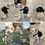 K9 Tactical Military Vest Pet German Shepherd Golden Retriever Tactical  Training Dog Harness and Leash Set For All Breeds Dogs