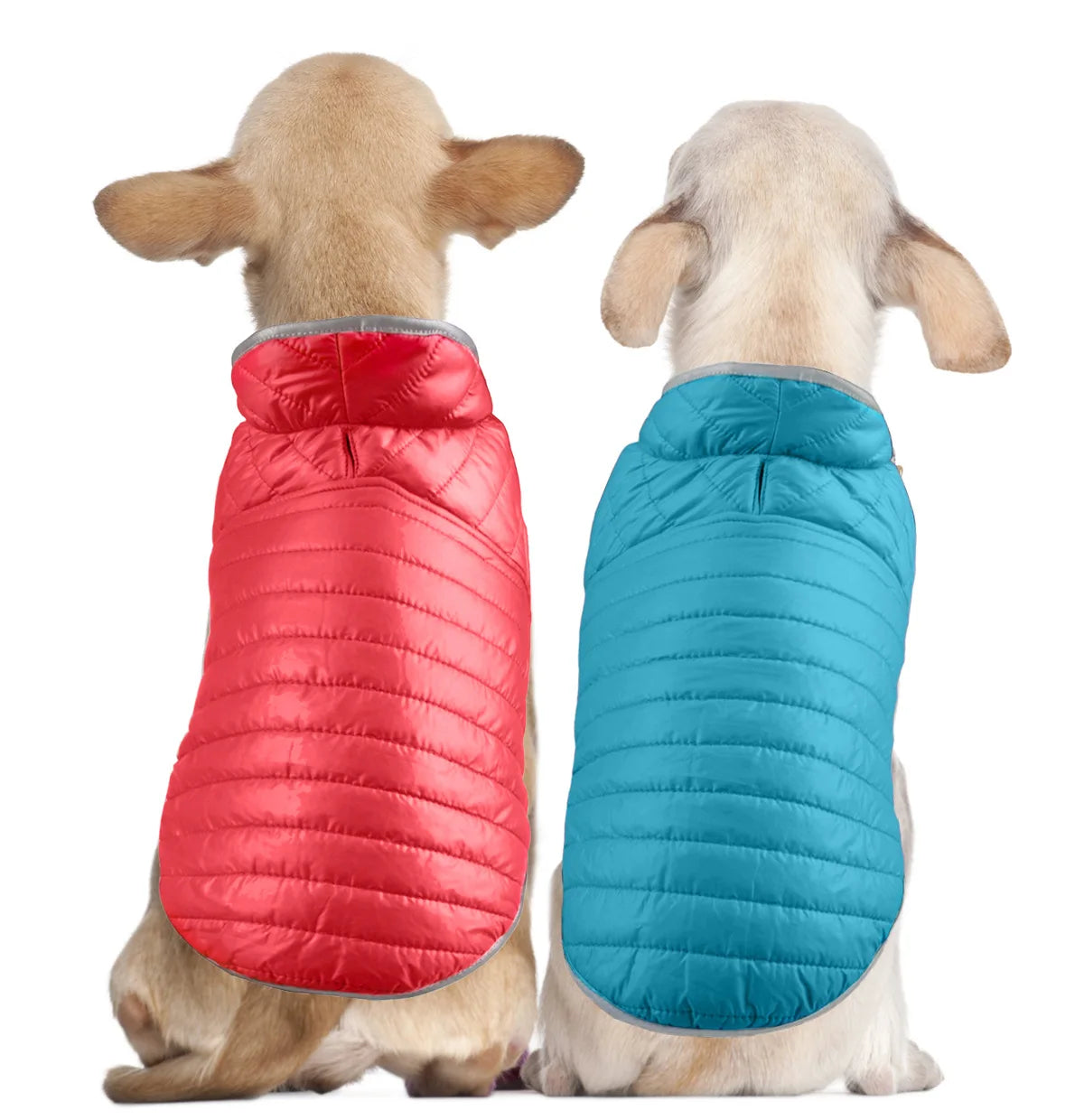 Warm Chihuahua Clothing Jacket Dog Winter Jacket for York Small Large Dog & Puppy Winter Bulldog Clothes Dog Coat Pet Clothes