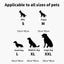 Pet Dog Disposable Diapers Mat Panties Absorbent Training Pee Floor Towel for Dogs Cat Nappies Puppy Physiological Supplies Pads