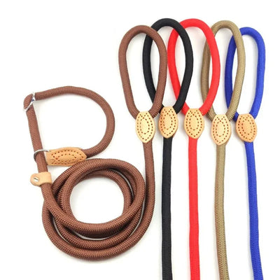 Dog Leash Slip Rope Lead Leash Heavy Duty Braided Rope Adjustable Loop Collar Training Leashes for Small Medium Large Dogs 180cm
