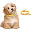 10pcs Yellow With Bell Collars Delicate Safety Casual Nylon Dog Collar Neck Strap Fashion Adjustable Bell Pet Cat Dog Collar