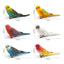 Simulated bird parrot children's ornament toy