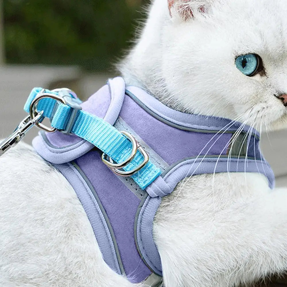 No Pull Pet Harness Dog Vest Harness Breathable Reflective Strips Harness Comfortable Adjustable Soft Padded Harness For Dogs