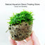Natural Unique Shape Aquarium Fish Tank Floating Rock Stone Suspended Stone Floating Pumice Decor Rock Ornament Decorations