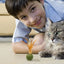 Catnip Ball Feather Cat Toy Ball Feather Cat Tooth Cleaning Cat Toy Catnip Ball Interactive Chew Catnip Pet Supplies