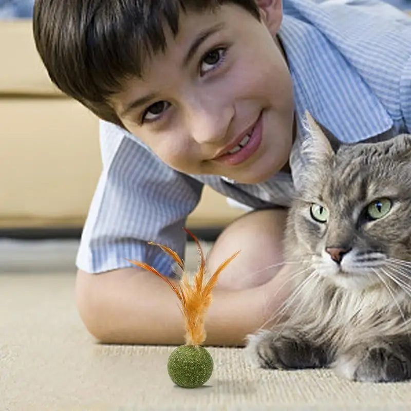 Catnip Ball Feather Cat Toy Ball Feather Cat Tooth Cleaning Cat Toy Catnip Ball Interactive Chew Catnip Pet Supplies