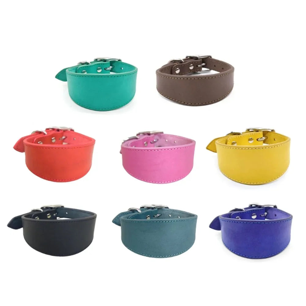 Soft Real Leather Extra Wide Padded Tapered Dog Collar Glossy Brown Black Greyhound Saluki Deerhound Lurcher Whippet Dachshund