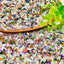 50g/100g Natural Mixed Crystal Chips & Pebbles –  Aquarium & Terrarium Decor
